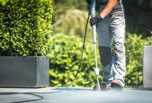 Best Gutter Cleaning  in Cortland, NY