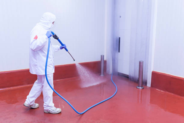 Best Warehouse Cleaning  in Cortland, NY