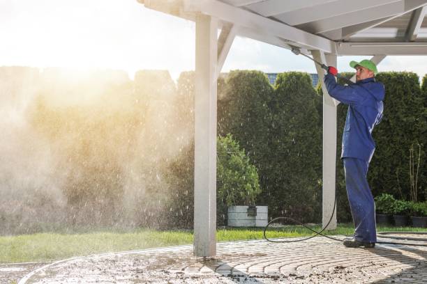 Best Spring Cleaning  in Cortland, NY