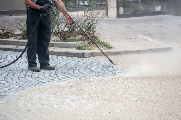 Best Dumpster Area Cleaning  in Cortland, NY